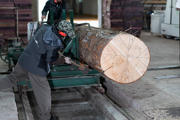 European Spruce