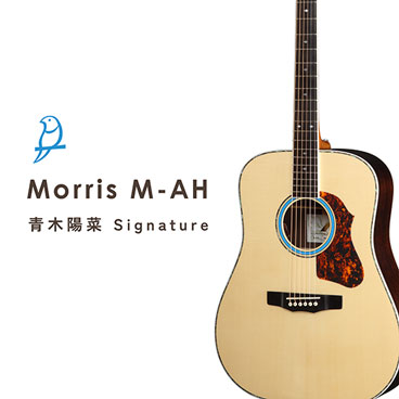 Announcement: Aoki Hina Signature Model M-AH