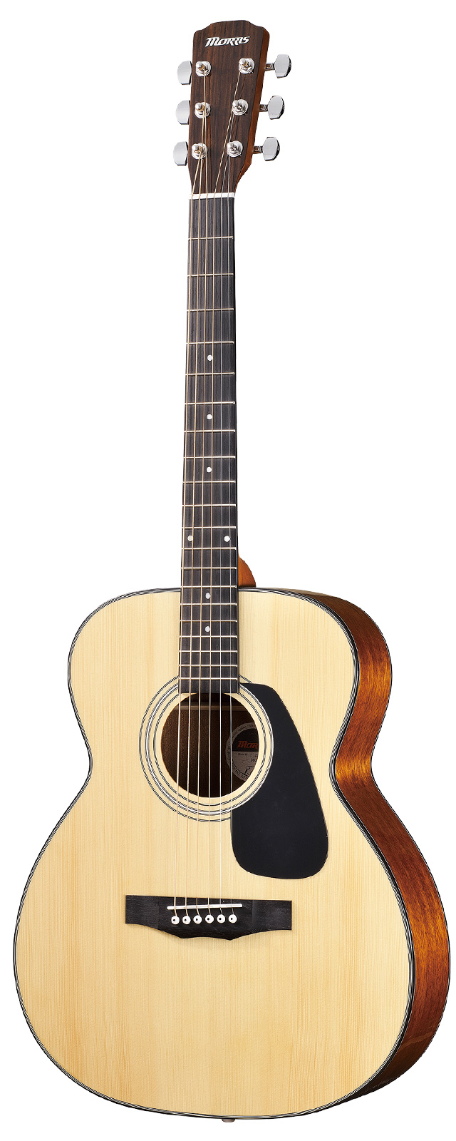新規上場商品  F280 アコースティックギター モーリス アコースティックギター