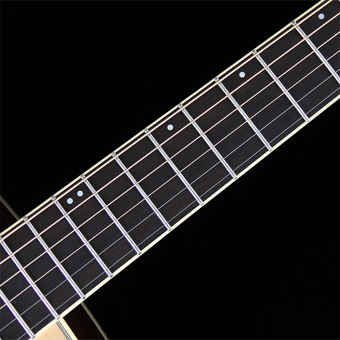 Ebony Fingerboard