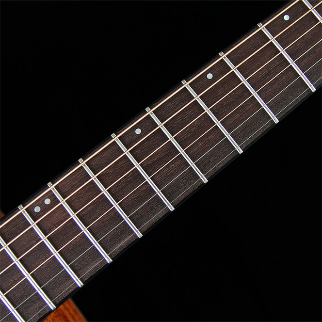 Ebony Fingerboard