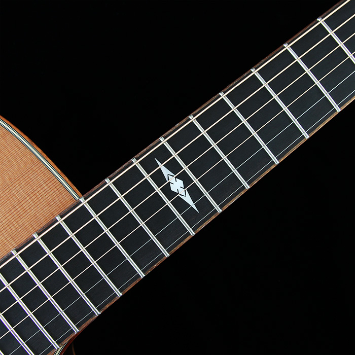 Ebony Fingerboard