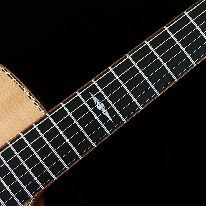 Ebony Fingerboard