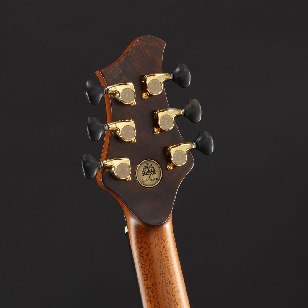 Luthier Made Special Design