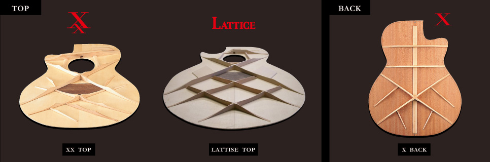Evolved lattice bracing