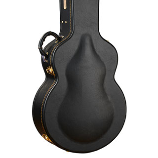 Guitar Case